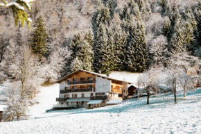 Tanafreida Apartments St. Gallenkirch